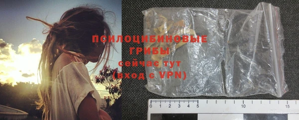 прущий лед Аркадак