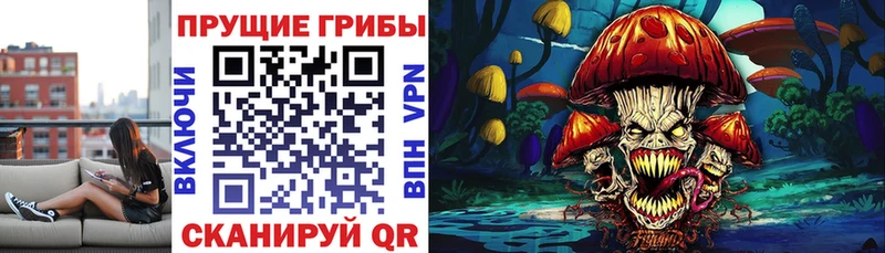 Псилоцибиновые грибы MAGIC MUSHROOMS  Никольское 